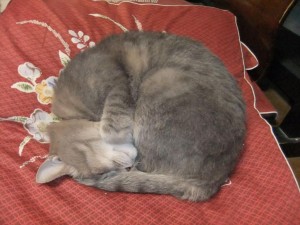 006_R_10.JPG