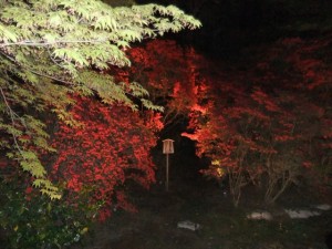 016_R.JPG