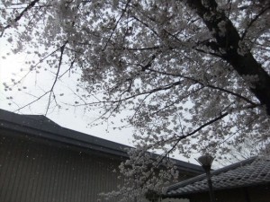 079_R.JPG