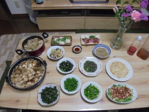 DSC01266.jpg