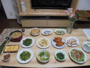 DSC01380.jpg
