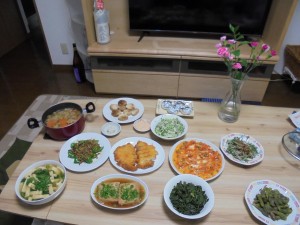 DSC01385.jpg