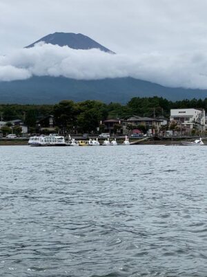 IMG_2353.jpg