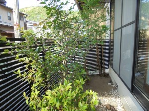 DSC00075_R.JPG