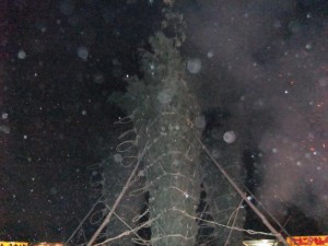DSCF1391_R.JPG