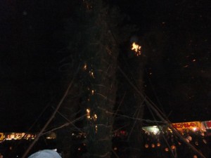 DSCF1395_R.JPG
