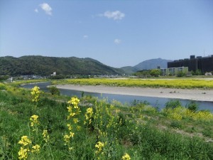 DSCF1494_R.JPG
