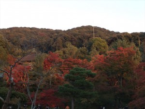 DSCF2027_R.JPG