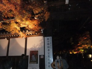 DSCF2041_R.JPG