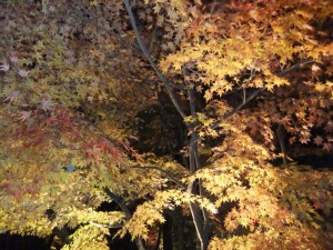 DSCF2044_R.JPG