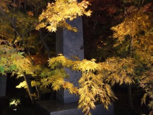 DSCF2061_R.JPG