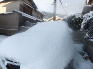 DSCF2156_R.JPG