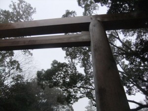 DSCF2175_R.JPG