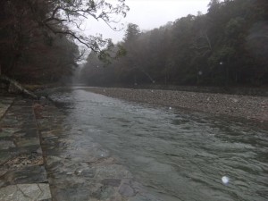 DSCF2176_R.JPG