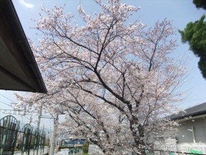 DSCF2293_R.JPG