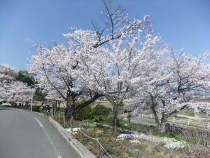DSCF2297_R.JPG