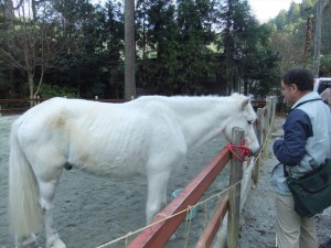 DSCF2702_R.JPG