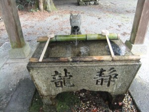 DSCF2703_R.JPG