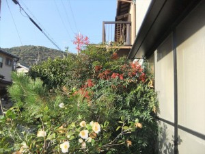 DSCF2722_R.JPG