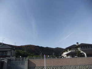 DSCF2735_R.JPG