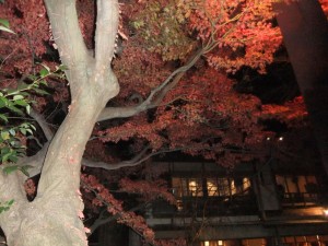 DSCF2749_R.JPG