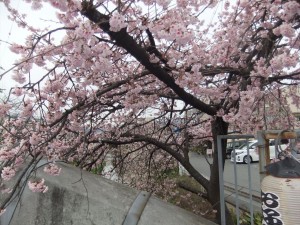 DSCF2953_R.JPG