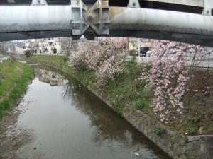 DSCF2954_R.JPG