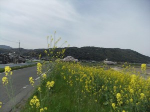 DSCF2997_R.JPG