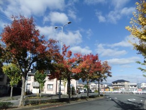 DSCF3224_R.JPG